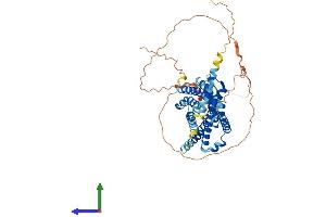 AlphaFold protein structure predicition of Human Recombinant C3AR1 Protein, UniprotID Q16581 (C3AR1 Protein (AA 1-482) (His tag))