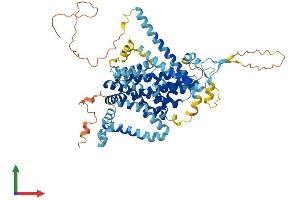 AlphaFold protein structure predicition of Human Recombinant SLC34A3 Protein, UniprotID Q8N130 (SLC34A3 Protein (AA 1-599) (His tag))