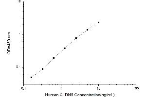 Claudin 5 (CLDN5) ELISA Kit