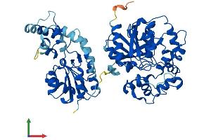 AlphaFold protein structure predicition of Mouse Recombinant Ephx2 Protein, UniprotID P34914