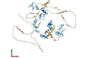 Protein Structure (PS) image for Zinc Finger Protein 710 (ZNF710) (AA 1-664) protein (His tag) (ABIN7545391)