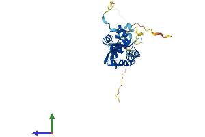 Protein Structure (PS) image for Potassium Channel Tetramerisation Domain Containing 15 (KCTD15) (AA 1-283) protein (His tag) (ABIN7548732)