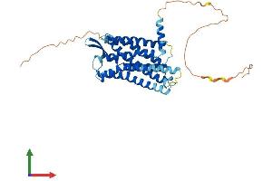 Protein Structure (PS) image for Galanin Receptor 2 (GALR2) (AA 1-371) protein (His tag) (ABIN7562675)