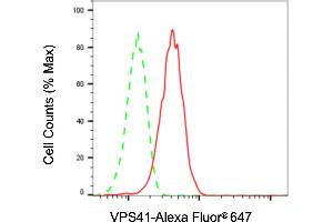 Flow cytometric analysis of VPS41 expression in H9c2 cells using VPS41 antibody (ABIN7800815), 1:2,000). (Recombinant VPS41 抗体)