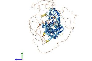 Protein Structure (PS) image for Dispatched Homolog 1 (DISP1) (AA 1-1524) protein (His tag) (ABIN7553685)
