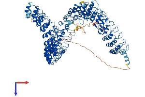 Protein Structure (PS) image for Ankyrin Repeat Domain 28 (ANKRD28) (AA 1-1053) protein (His tag) (ABIN7552251)