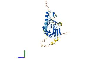 Protein Structure (PS) image for Leucine Rich Repeat Containing 18 (LRRC18) (AA 1-262) protein (His tag) (ABIN7560497)