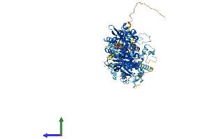 AlphaFold protein structure predicition of Human Recombinant EXTL3 Protein, UniprotID O43909