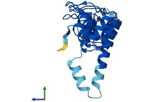 AlphaFold protein structure predicition of Mouse Recombinant Ankrd22 Protein, UniprotID Q9D3J5 (ANKRD22 Protein (AA 1-191) (His tag))