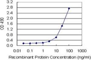 Sandwich ELISA detection sensitivity ranging from 1 ng/mL to 100 ng/mL. (SPP1 (人) Matched Antibody Pair)