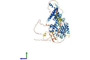 AlphaFold protein structure predicition of Mouse Recombinant Rad17 Protein, UniprotID Q6NXW6 (RAD17 Protein (RAD17) (AA 1-688) (His tag))
