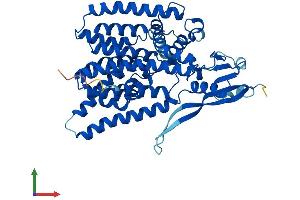 Protein Structure (PS) image for Asparagine-Linked Glycosylation 12, alpha-1,6-Mannosyltransferase Homolog (ALG12) (AA 1-486) protein (His tag) (ABIN7559853)