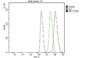 Flow Cytometry analysis of C6 cells using anti-splicing factor 1 antibody (ABIN7600194).
