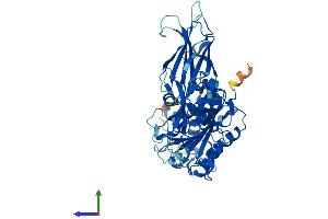 Protein Structure (PS) image for Copine III (CPNE3) (AA 1-537) protein (His tag) (ABIN7546740)