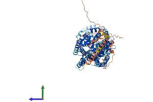 Protein Structure (PS) image for Solute Carrier Family 6, Member 17 (SLC6A17) (AA 1-727) protein (His tag) (ABIN7555369)