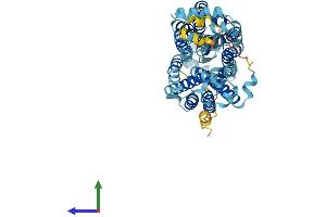 Protein Structure (PS) image for Solute Carrier Family 22 (Organic Cation Transporter), Member 2 (SLC22A2) (AA 1-555) protein (His tag) (ABIN7555347)