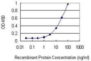 Detection limit for recombinant GST tagged PENK is 1 ng/ml as a capture antibody. (Enkephalin 抗体  (AA 1-267))