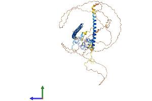 Protein Structure (PS) image for Ring Finger Protein 168 (RNF168) (AA 1-571) protein (His tag) (ABIN7555260)