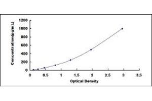 Typical standard curve (IL12B ELISA 试剂盒)