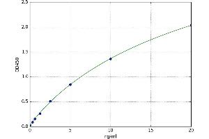 Cytokeratin Fragment Antigen 21-1 (CYFRA21.1) ELISA Kit
