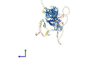 AlphaFold protein structure predicition of Human Recombinant BRD1 Protein, UniprotID O95696