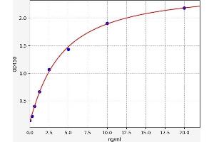 Typical standard curve (EIF3A ELISA 试剂盒)
