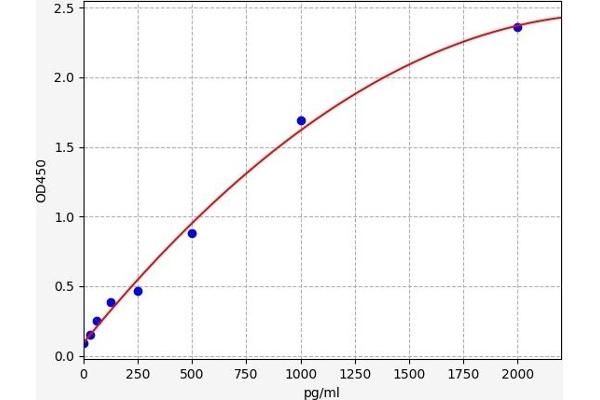 ADNP ELISA 试剂盒