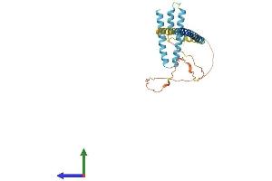 AlphaFold protein structure predicition of Mouse Recombinant Reep4 Protein, UniprotID Q8K072