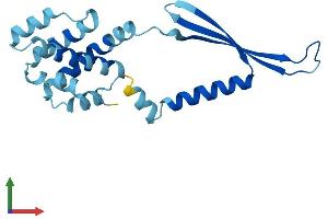 Protein Structure (PS) image for COMM Domain Containing 2 (COMMD2) (AA 1-199) protein (His tag) (ABIN7558996)