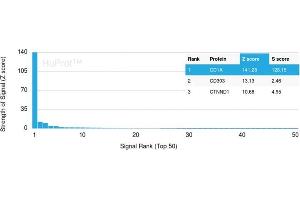 Analysis of Protein Array containing more than 19,000 full-length human proteins using CD1a-Monospecific Recombinant Rabbit Monoclonal Antibody (C1A/1506R) Z- and S- Score: The Z-score represents the strength of a signal that a monoclonal antibody (Monoclonal Antibody) (in combination with a fluorescently-tagged anti-IgG secondary antibody) produces when binding to a particular protein on the HuProtTM array. (Recombinant CD1a 抗体)