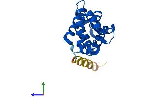 Protein Structure (PS) image for Centrin, EF-Hand Protein, 3 (CETN3) (AA 1-167) protein (His tag) (ABIN7553355)