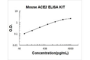 Angiotensin I Converting Enzyme 2 (ACE2) ELISA Kit