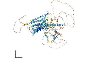AlphaFold protein structure predicition of Mouse Recombinant Tmc3 Protein, UniprotID Q7TQ69 (Tmc3 Protein (AA 1-1130) (His tag))