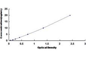 Typical standard curve (CACNA1C ELISA 试剂盒)