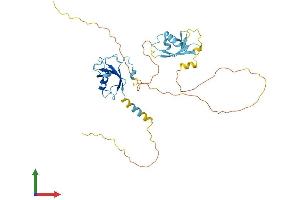 AlphaFold protein structure predicition of Mouse Recombinant Dcx Protein, UniprotID O88809