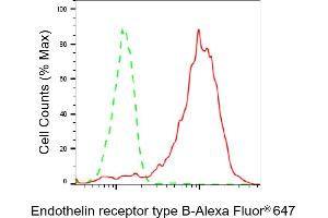 Flow cytometric analysis of Endothelin receptor type B expression in HepG2 cells using Endothelin receptor type B antibody (ABIN7798444), 1:2,000).