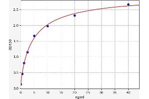 Typical standard curve (PEPD ELISA 试剂盒)
