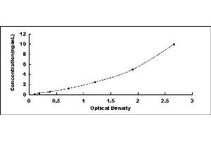 Typical standard curve (SYNE2 ELISA 试剂盒)