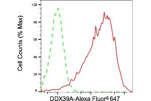 Flow cytometric analysis of DDX39A expression in HepG2 cells using DDX39A antibody (ABIN7798287), 1:2,000). (DDX39 抗体)