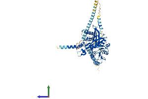 Protein Structure (PS) image for Chondroitin Sulfate N-Acetylgalactosaminyltransferase 2 (CSGALNACT2) (AA 1-542) protein (His tag) (ABIN7553316)
