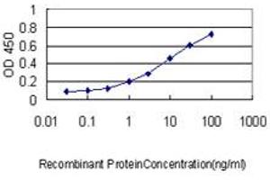Detection limit for recombinant GST tagged POLA2 is approximately 0. (POLA2 抗体  (AA 1-598))