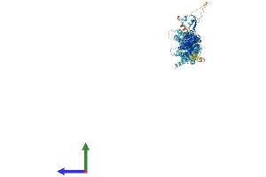 Protein Structure (PS) image for Exocyst Complex Component 6B (EXOC6B) (AA 1-810) protein (His tag) (ABIN7562003)