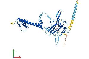 Protein Structure (PS) image for Potassium Inwardly-Rectifying Channel, Subfamily J, Member 15 (KCNJ15) (AA 1-375) protein (His tag) (ABIN7548809)