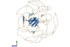 Protein Structure (PS) image for AF4/FMR2 Family, Member 4 (AFF4) (AA 1-1160) protein (His tag) (ABIN7565061)