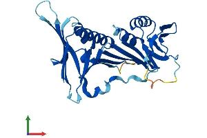 Protein Structure (PS) image for HUS1 Checkpoint Homolog (S. Pombe) (HUS1) (AA 1-280) protein (His tag) (ABIN7558827)