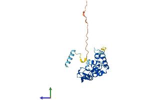 Protein Structure (PS) image for Ring Finger Protein 114 (RNF114) (AA 1-229) protein (His tag) (ABIN7561489)