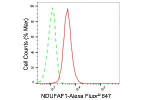 Flow cytometric analysis of NDUFAF1 expression in HeLa cells using NDUFAF1 antibody (ABIN7799543), 1:2,000).