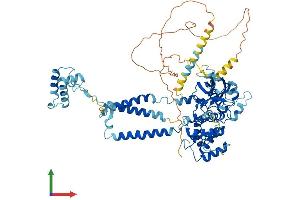 Protein Structure (PS) image for SEC63 Homolog (SEC63) (AA 1-760) protein (His tag) (ABIN7559921)