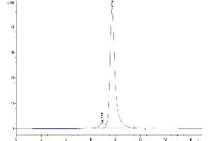 Size-exclusion chromatography-High Pressure Liquid Chromatography (SEC-HPLC) image for C-Type Lectin Domain Family 2, Member D (CLEC2D) (AA 60-191) protein (Fc-Avi Tag) (ABIN7274344)