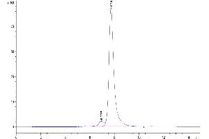 The purity of Human CLEC2D is greater than 95 % as determined by SEC-HPLC. (CLEC2D Protein (AA 60-191) (Fc-Avi Tag))